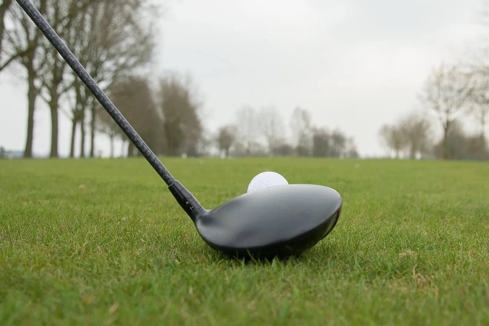 Balle de golf blanche posée sur un tee au départ, derrière la tête noire d'un driver, sur un parcours bordé d'arbres en hiver