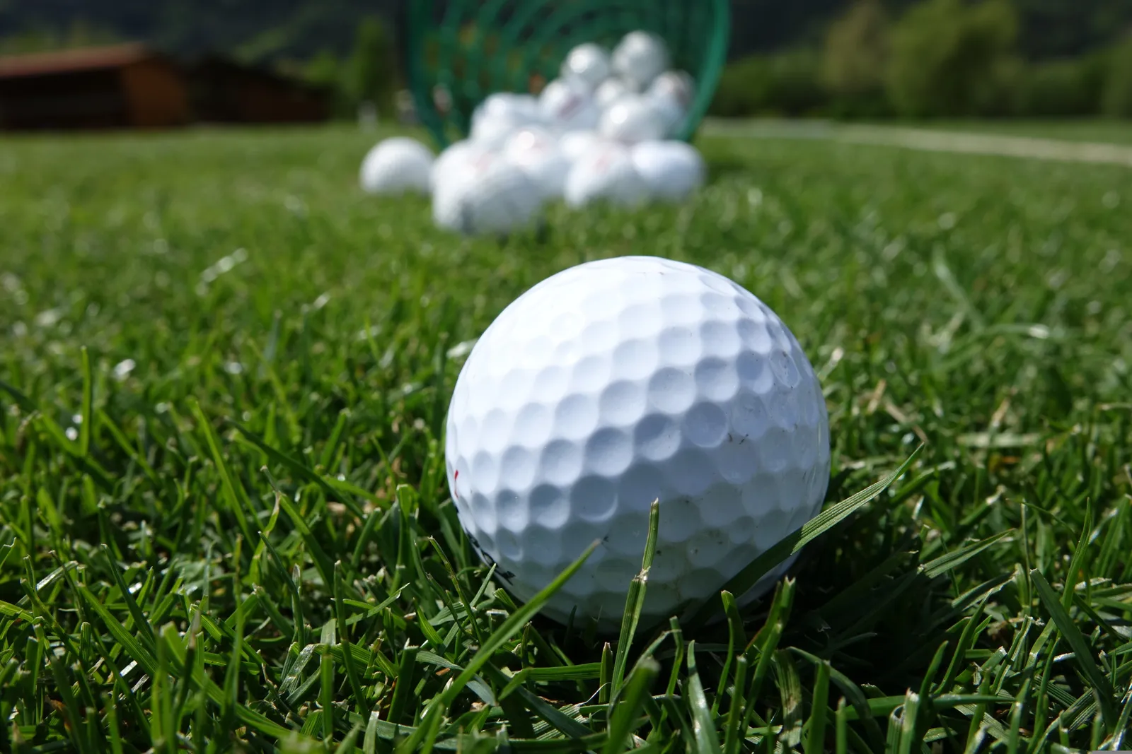 Balle de golf blanche posée dans l'herbe du practice, un panier de balles renversé en arrière-plan