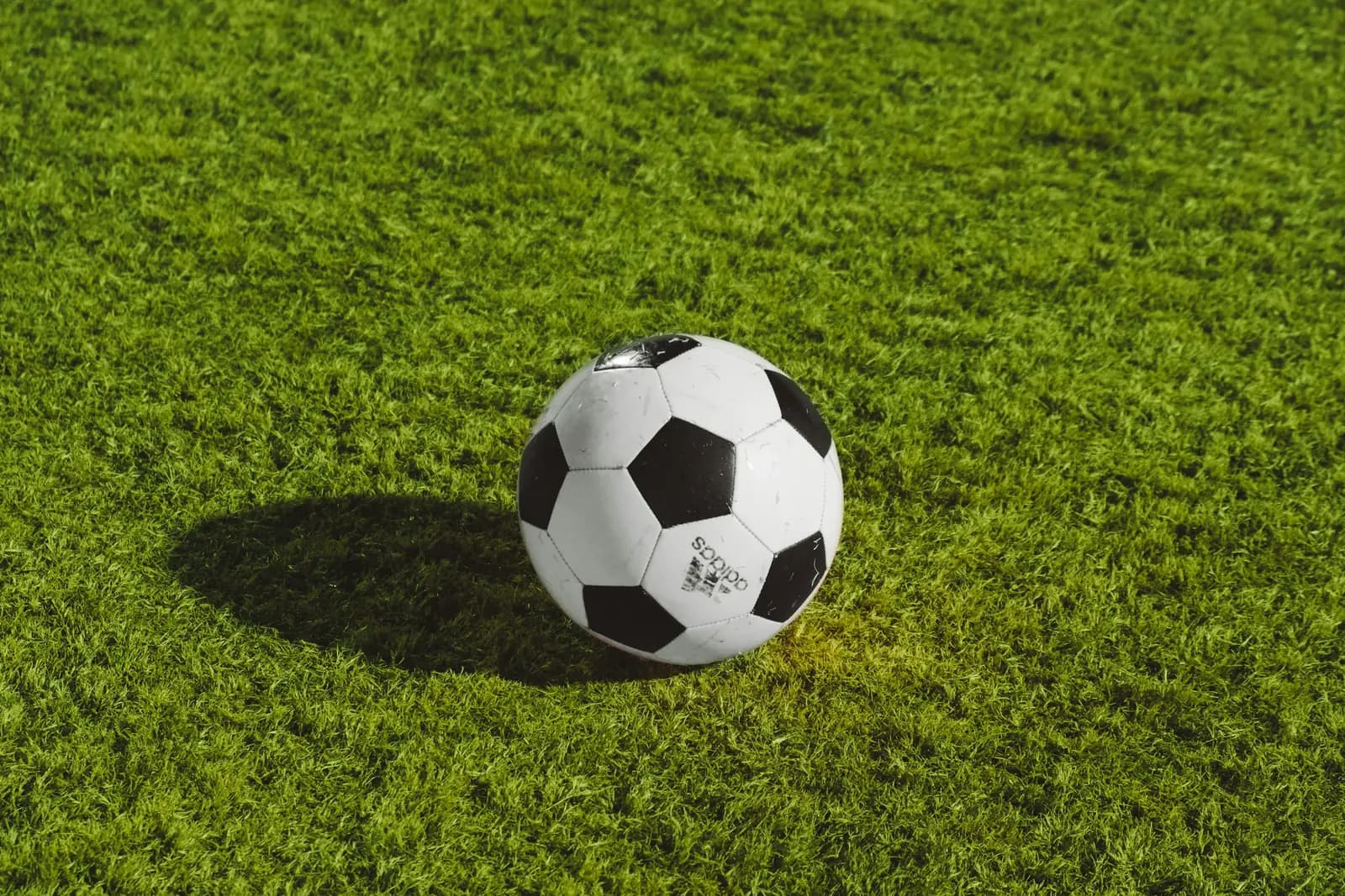 Ballon de football blanc et noir posé sur une pelouse