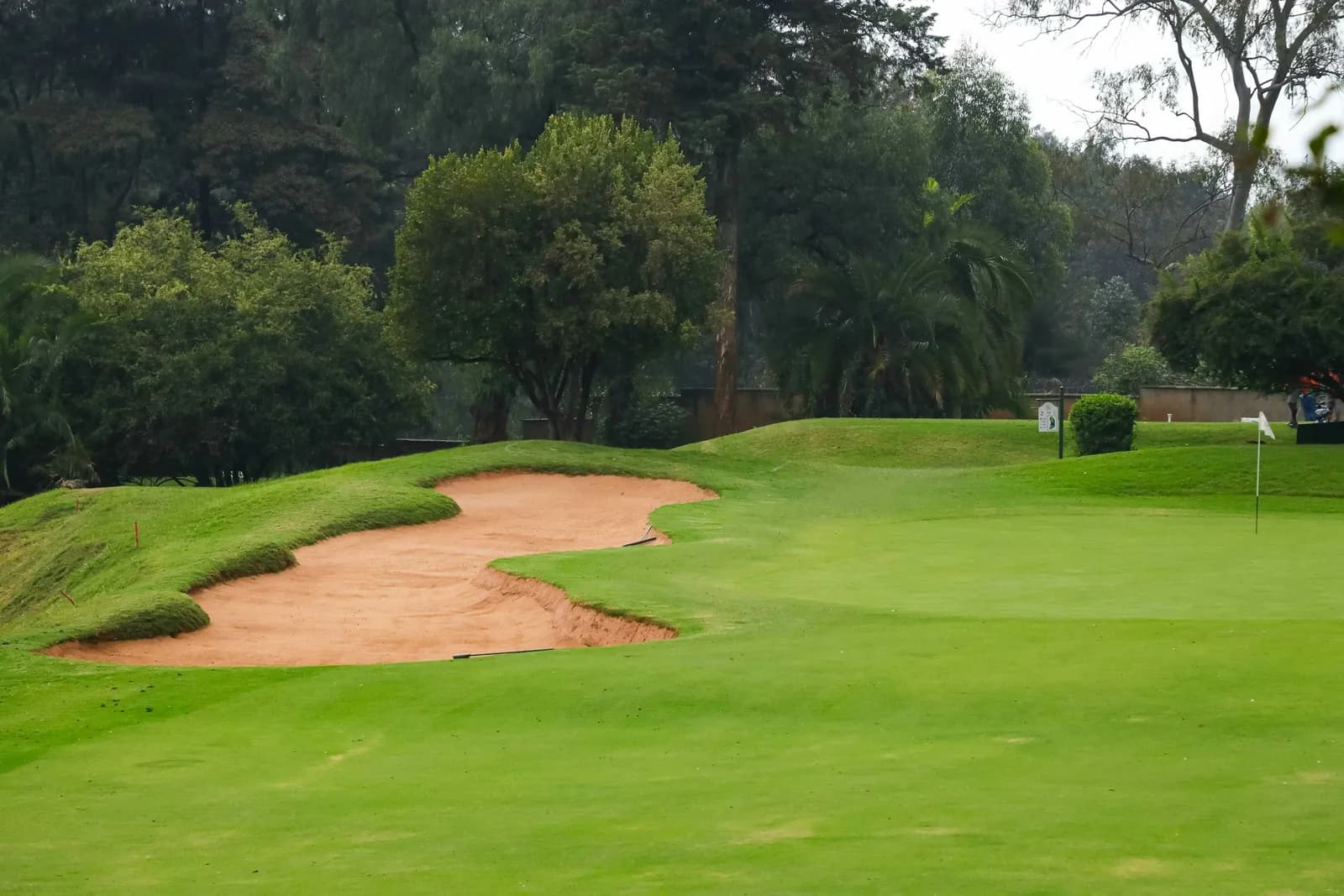 Bunker de sable au bord d'un green sur un parcours de golf bordé d'arbres