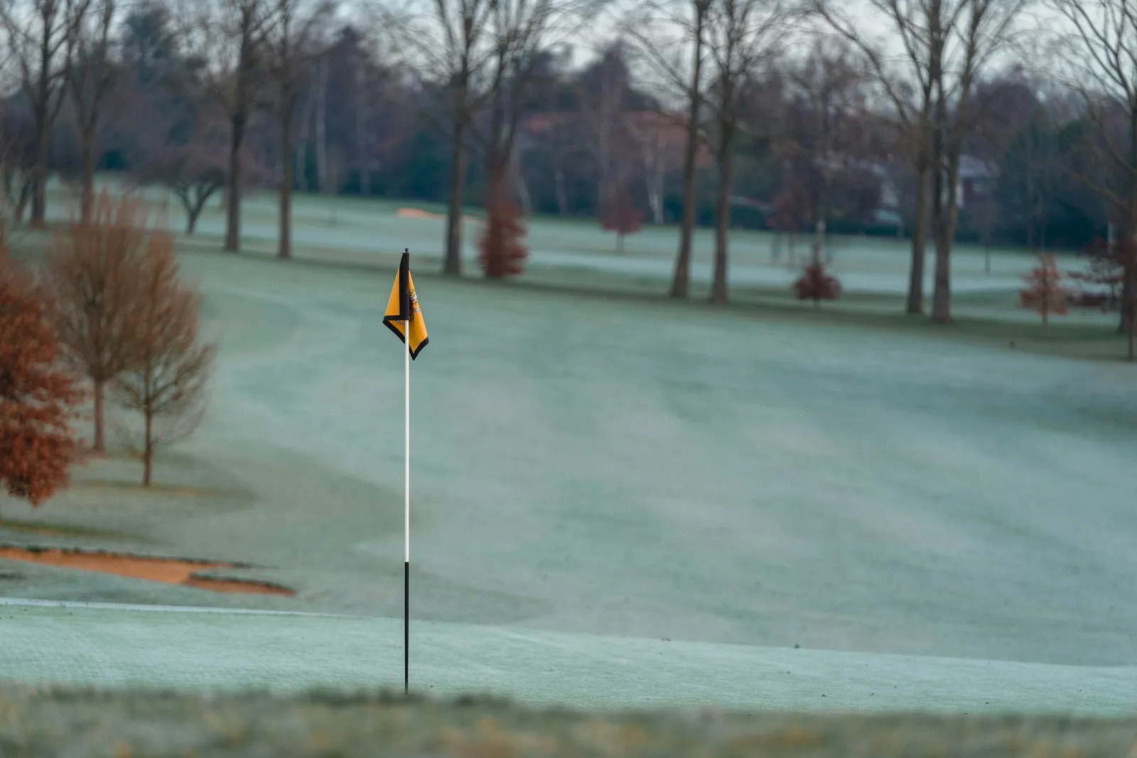 Green de golf couvert de givre avec un drapeau jaune et des arbres dénudés