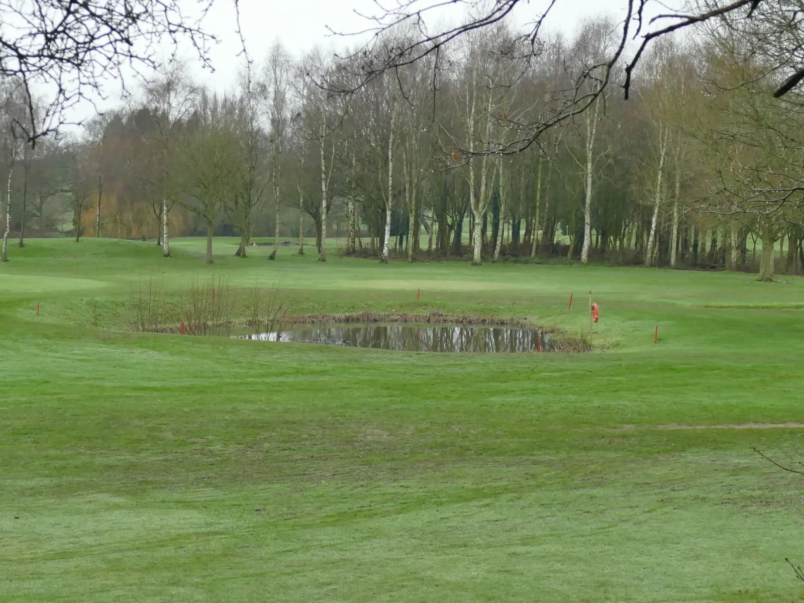Petite mare entourée de piquets rouges au milieu d'un fairway, avec une bouée de sauvetage sur son poteau et une rangée de bouleaux en arrière-plan