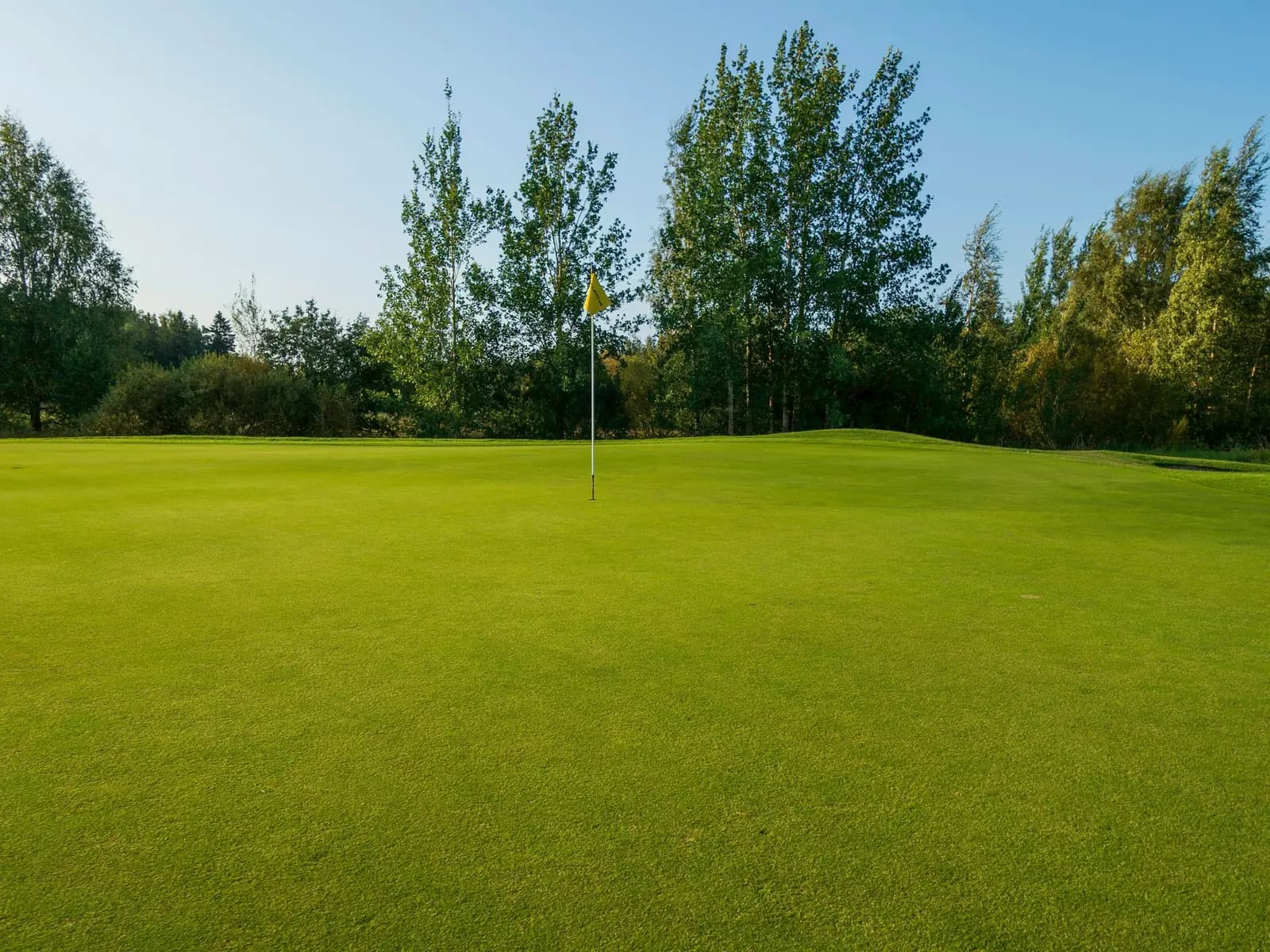 Green de golf avec son drapeau, entouré d'arbres sous un ciel bleu