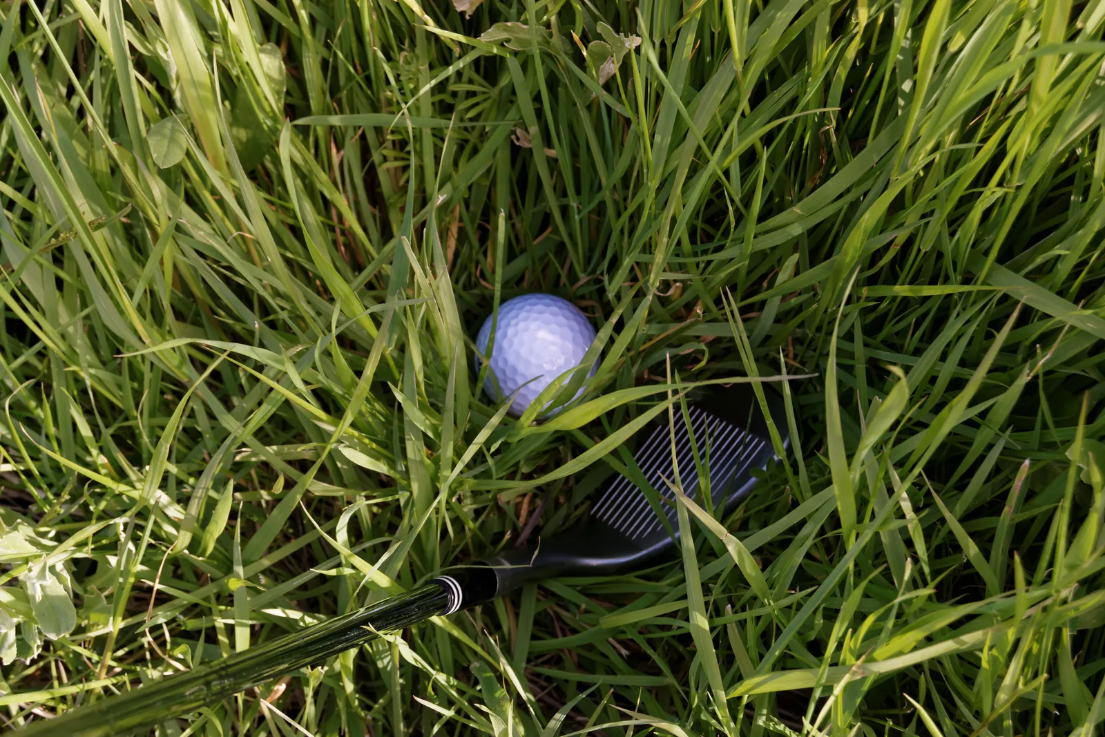 Balle de golf blanche enfoncée dans l'herbe haute du rough, la tête d'un wedge posée juste à côté