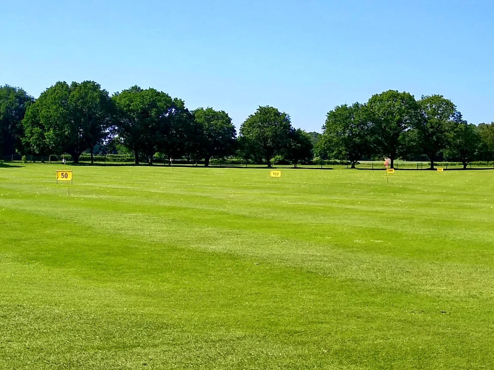 Practice de golf vu depuis les postes de frappe, avec des panneaux de distance jaunes sur la pelouse et une rangée d'arbres au fond