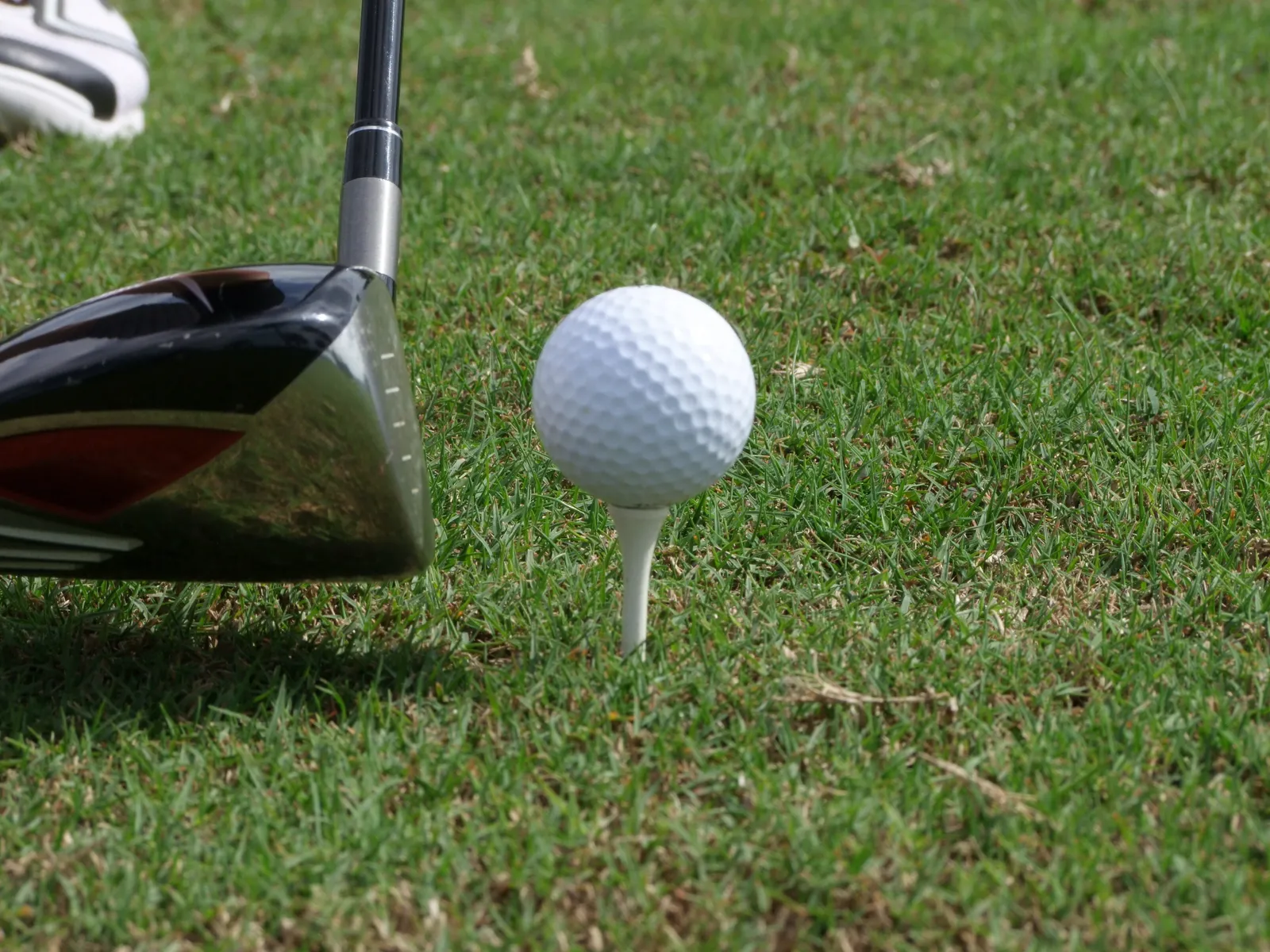 Balle de golf blanche posée sur un tee blanc dans l'herbe, à côté de la tête d'un bois de parcours